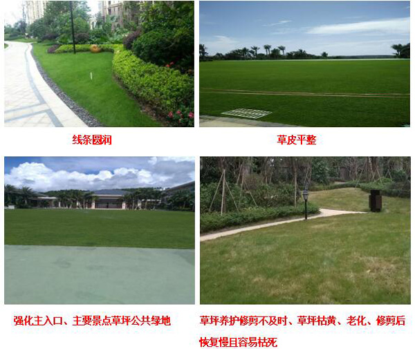 欧美性XXXXX极品娇小