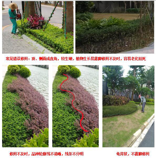 欧美性XXXXX极品娇小