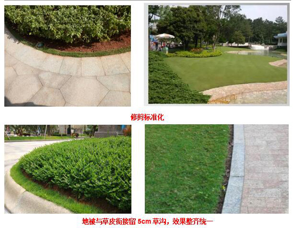 欧美性XXXXX极品娇小