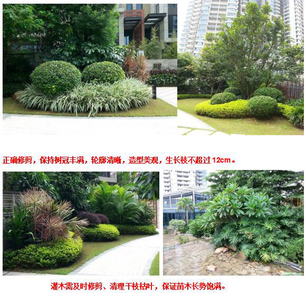 欧美性XXXXX极品娇小