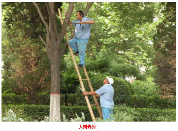 欧美性XXXXX极品娇小