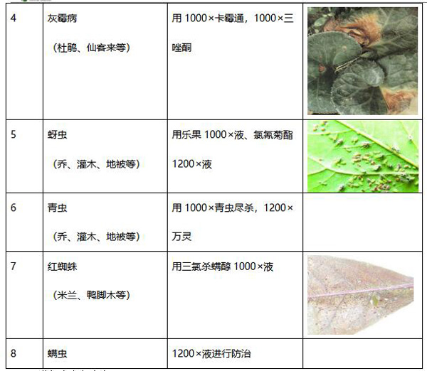 欧美性XXXXX极品娇小