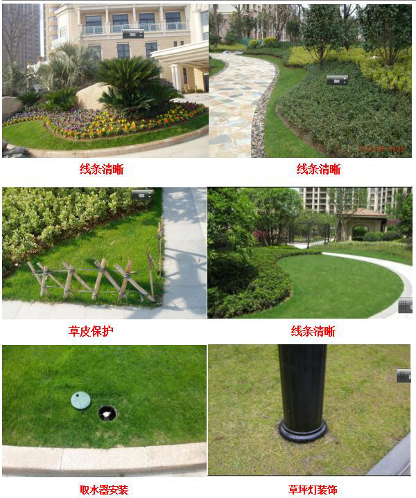 欧美性XXXXX极品娇小