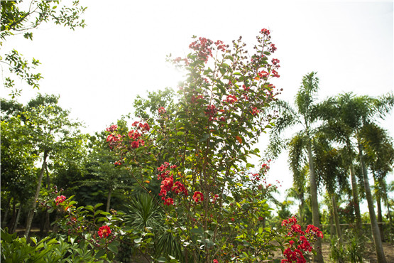 欧美性XXXXX极品娇小