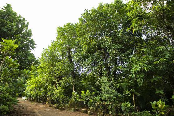 欧美性XXXXX极品娇小