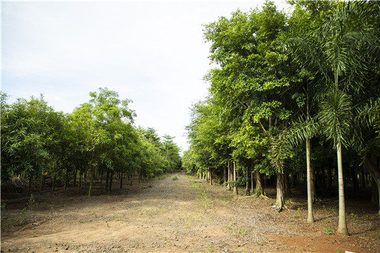 欧美性XXXXX极品娇小