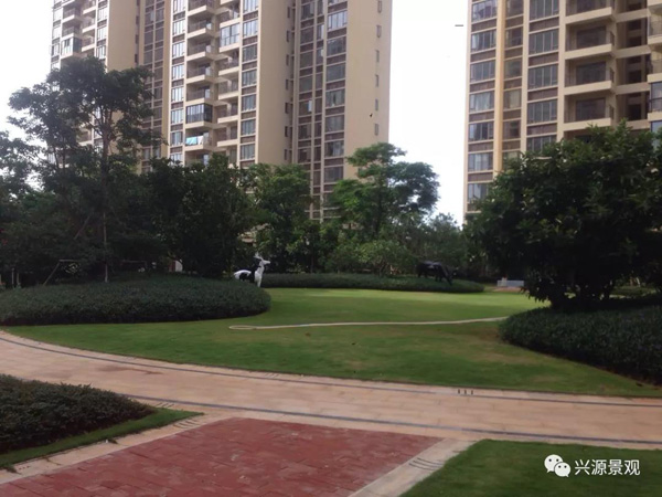 欧美性XXXXX极品娇小