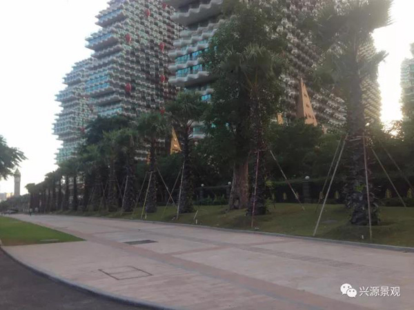 欧美性XXXXX极品娇小