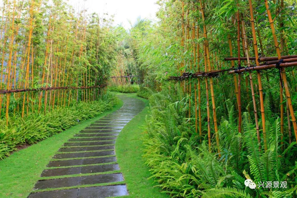 欧美性XXXXX极品娇小