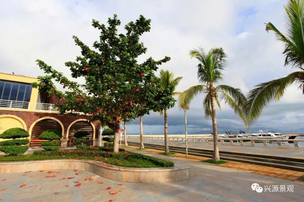 欧美性XXXXX极品娇小