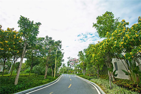 欧美性XXXXX极品娇小