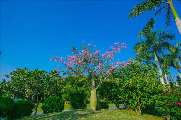 欧美性XXXXX极品娇小