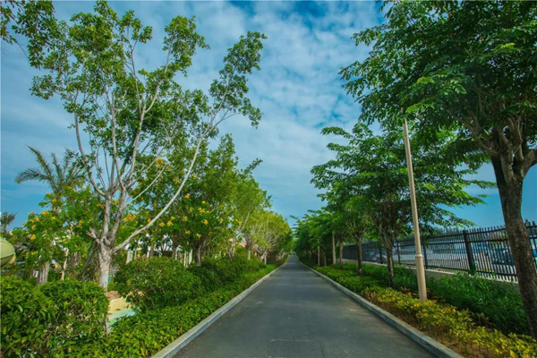 欧美性XXXXX极品娇小