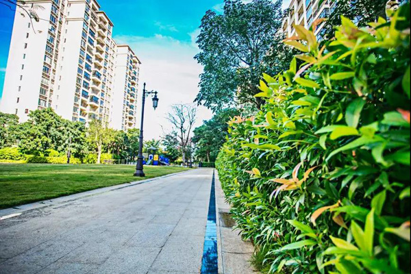 欧美性XXXXX极品娇小