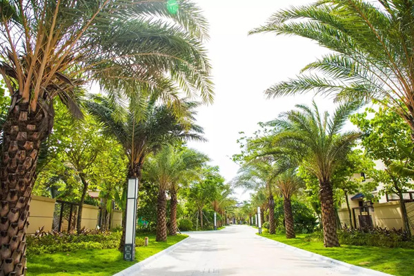 欧美性XXXXX极品娇小