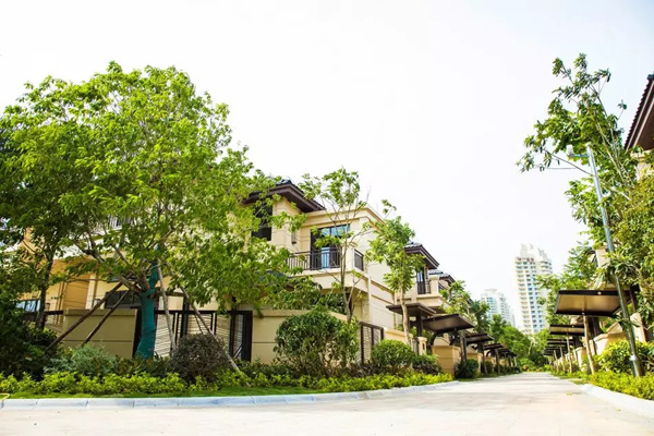 欧美性XXXXX极品娇小