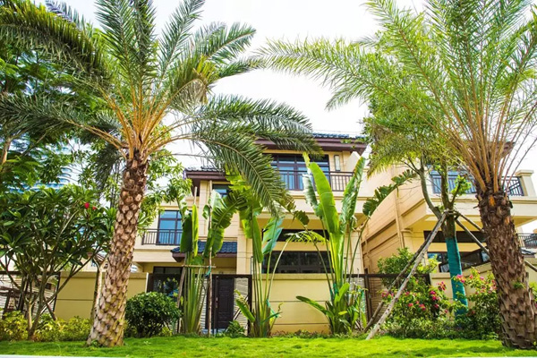 欧美性XXXXX极品娇小