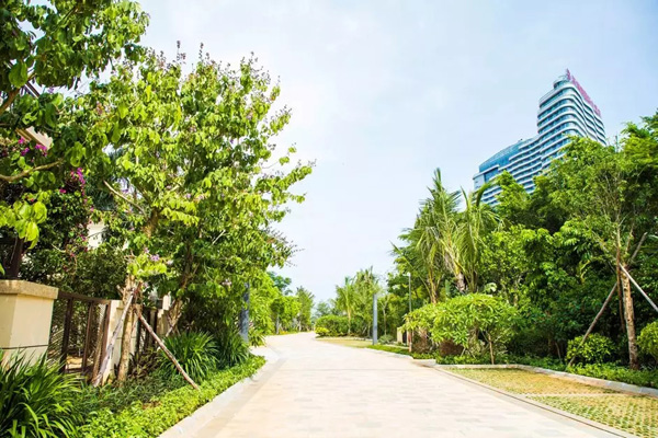 欧美性XXXXX极品娇小