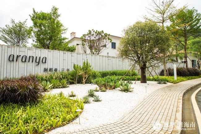 欧美性XXXXX极品娇小