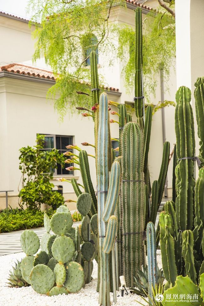 欧美性XXXXX极品娇小