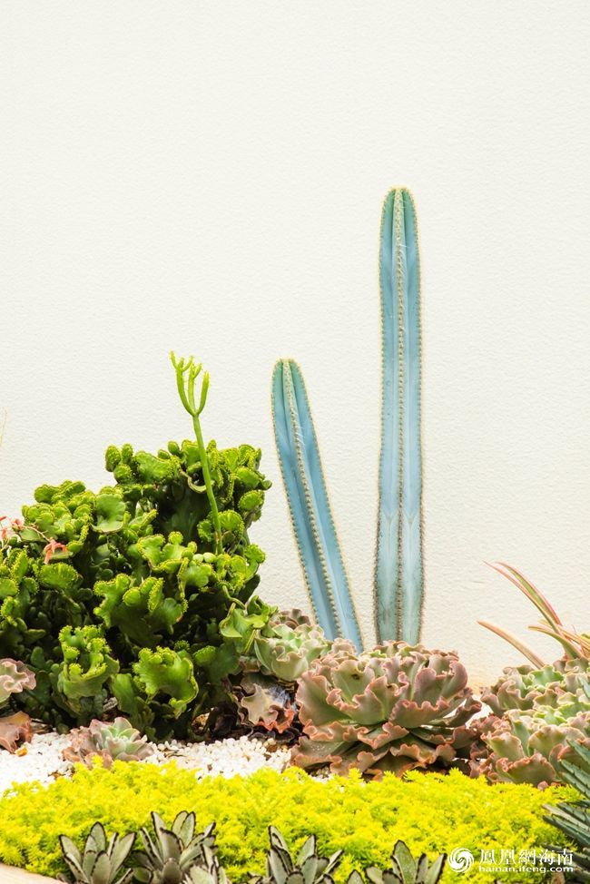 欧美性XXXXX极品娇小