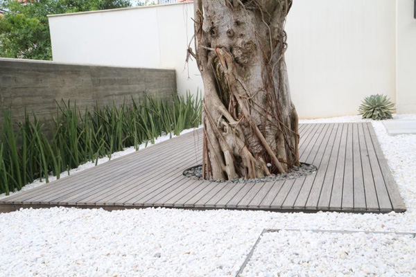 欧美性XXXXX极品娇小