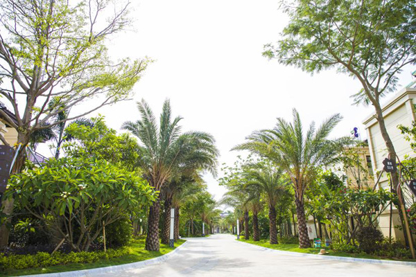 欧美性XXXXX极品娇小