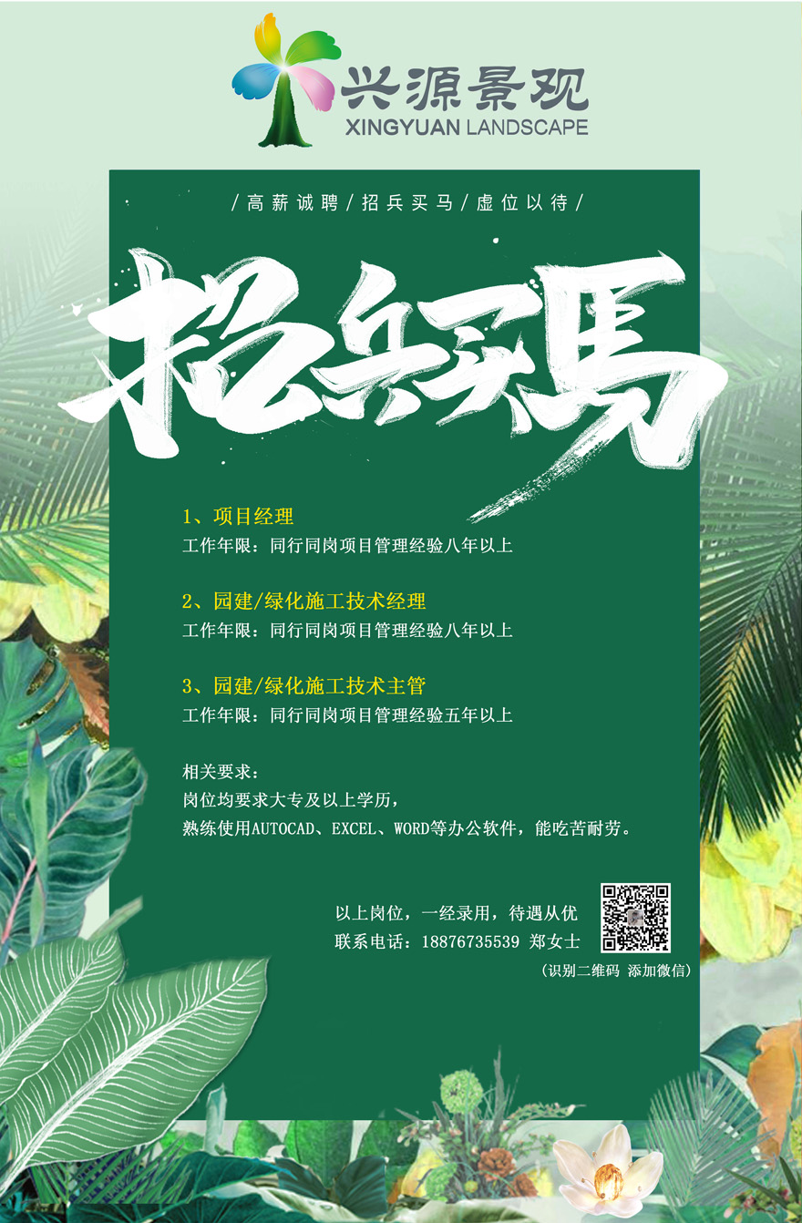 欧美性XXXXX极品娇小