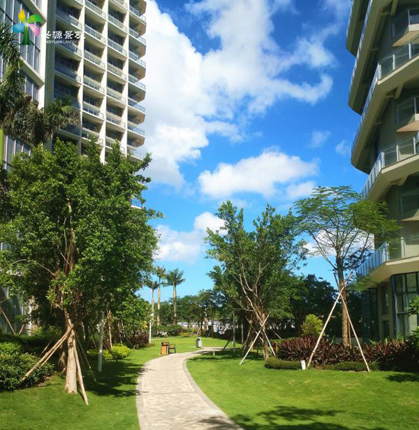 欧美性XXXXX极品娇小