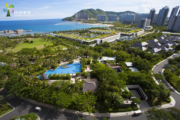 欧美性XXXXX极品娇小