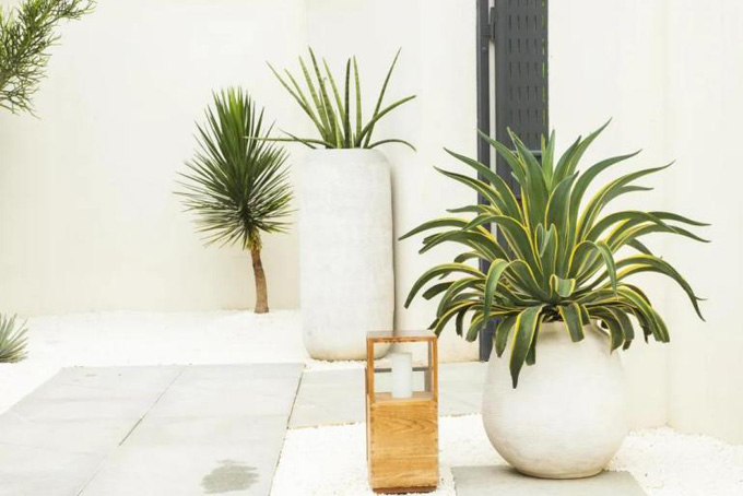 欧美性XXXXX极品娇小