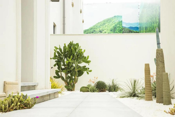 欧美性XXXXX极品娇小