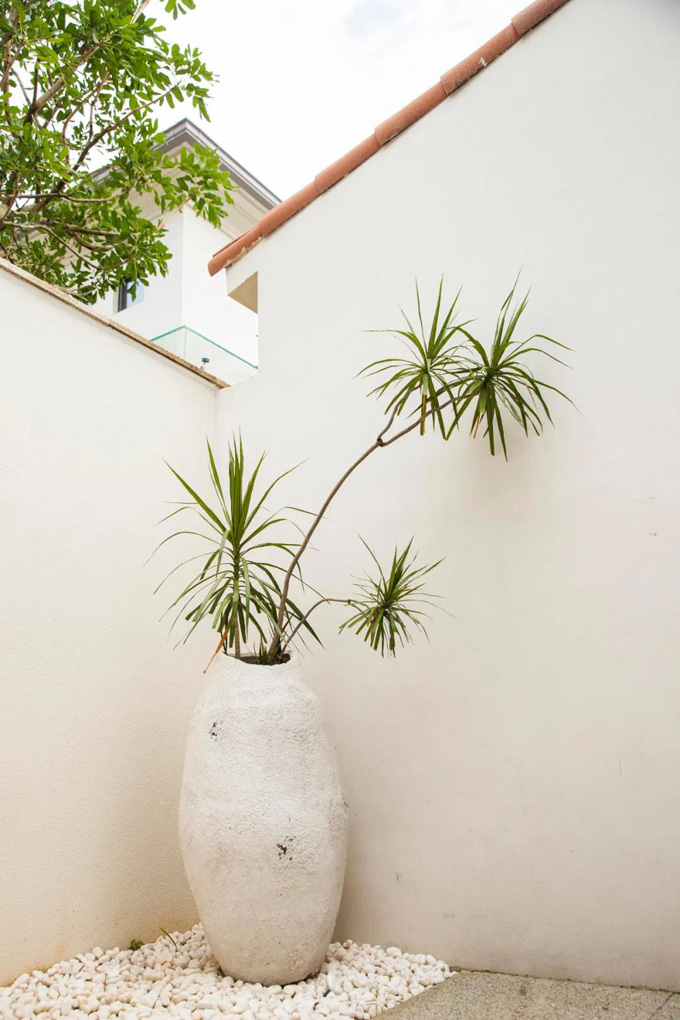 欧美性XXXXX极品娇小