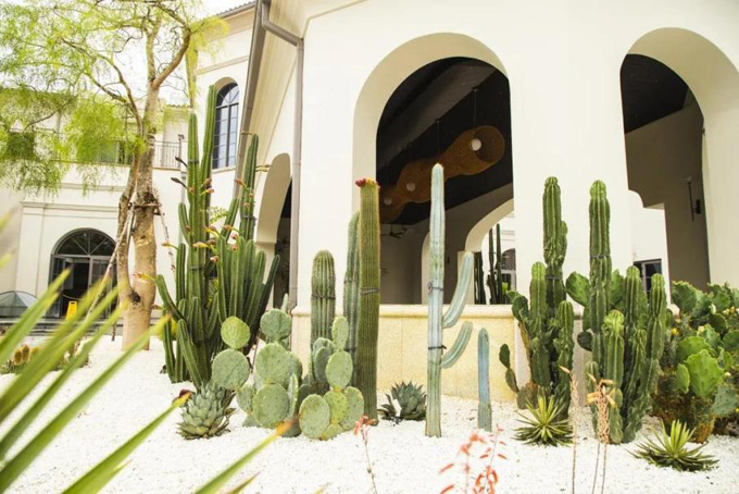 欧美性XXXXX极品娇小