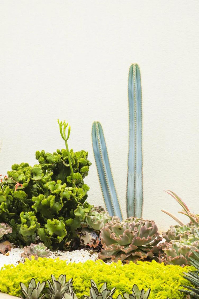 欧美性XXXXX极品娇小