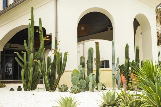 欧美性XXXXX极品娇小