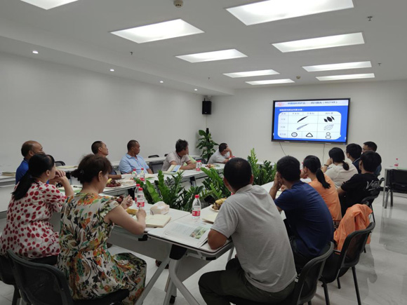 欧美性XXXXX极品娇小