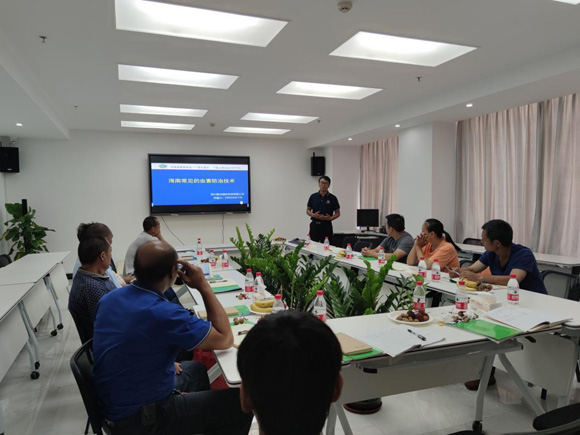 欧美性XXXXX极品娇小