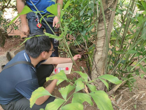 欧美性XXXXX极品娇小