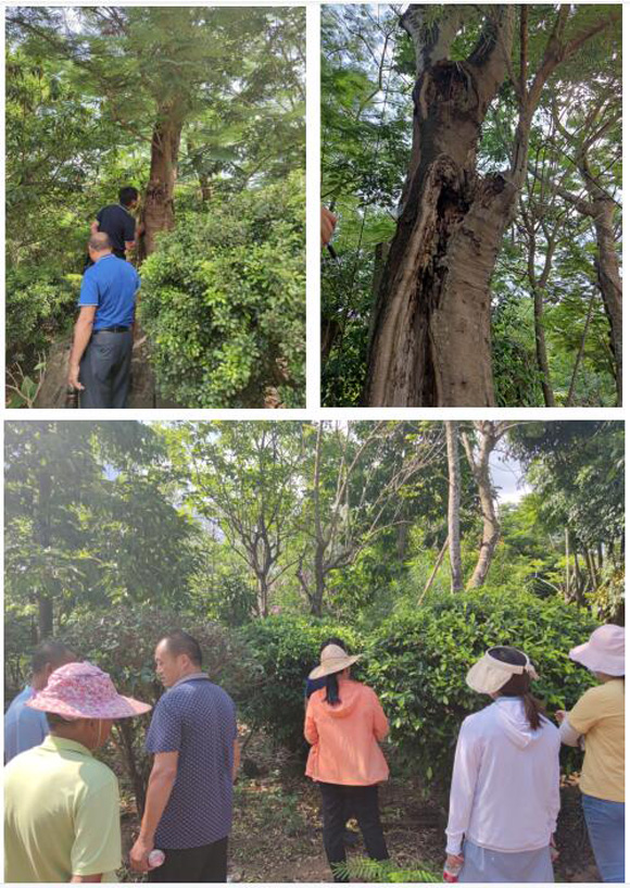 欧美性XXXXX极品娇小