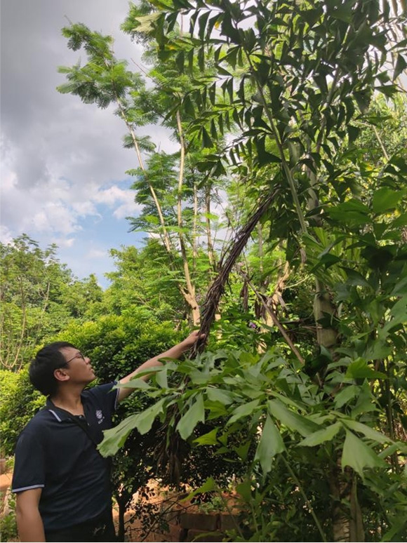 欧美性XXXXX极品娇小