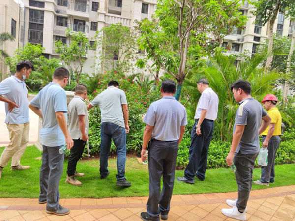 欧美性XXXXX极品娇小