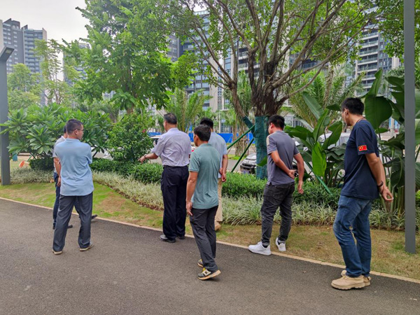 欧美性XXXXX极品娇小