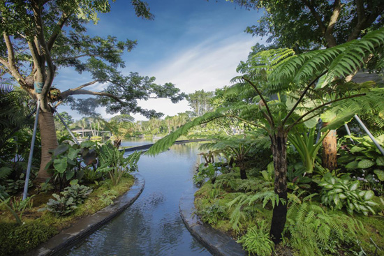 欧美性XXXXX极品娇小