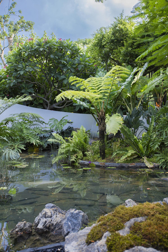 欧美性XXXXX极品娇小