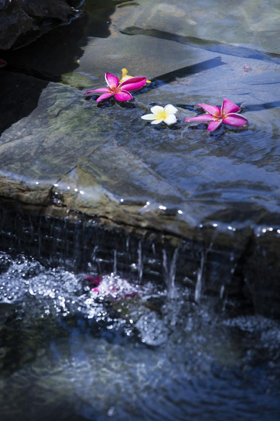 欧美性XXXXX极品娇小