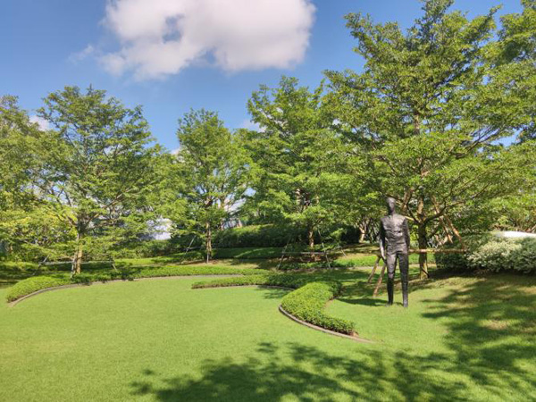 欧美性XXXXX极品娇小