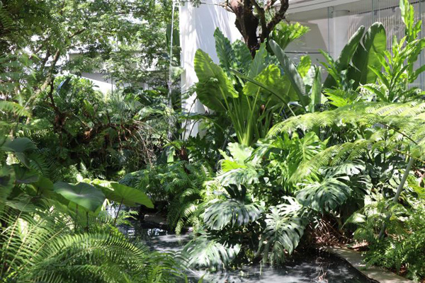 欧美性XXXXX极品娇小